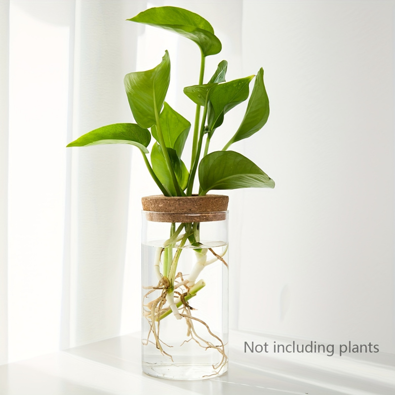 1pc, Hydroponics Plants Deskto - Propagation Station Vase ulasan dan harga