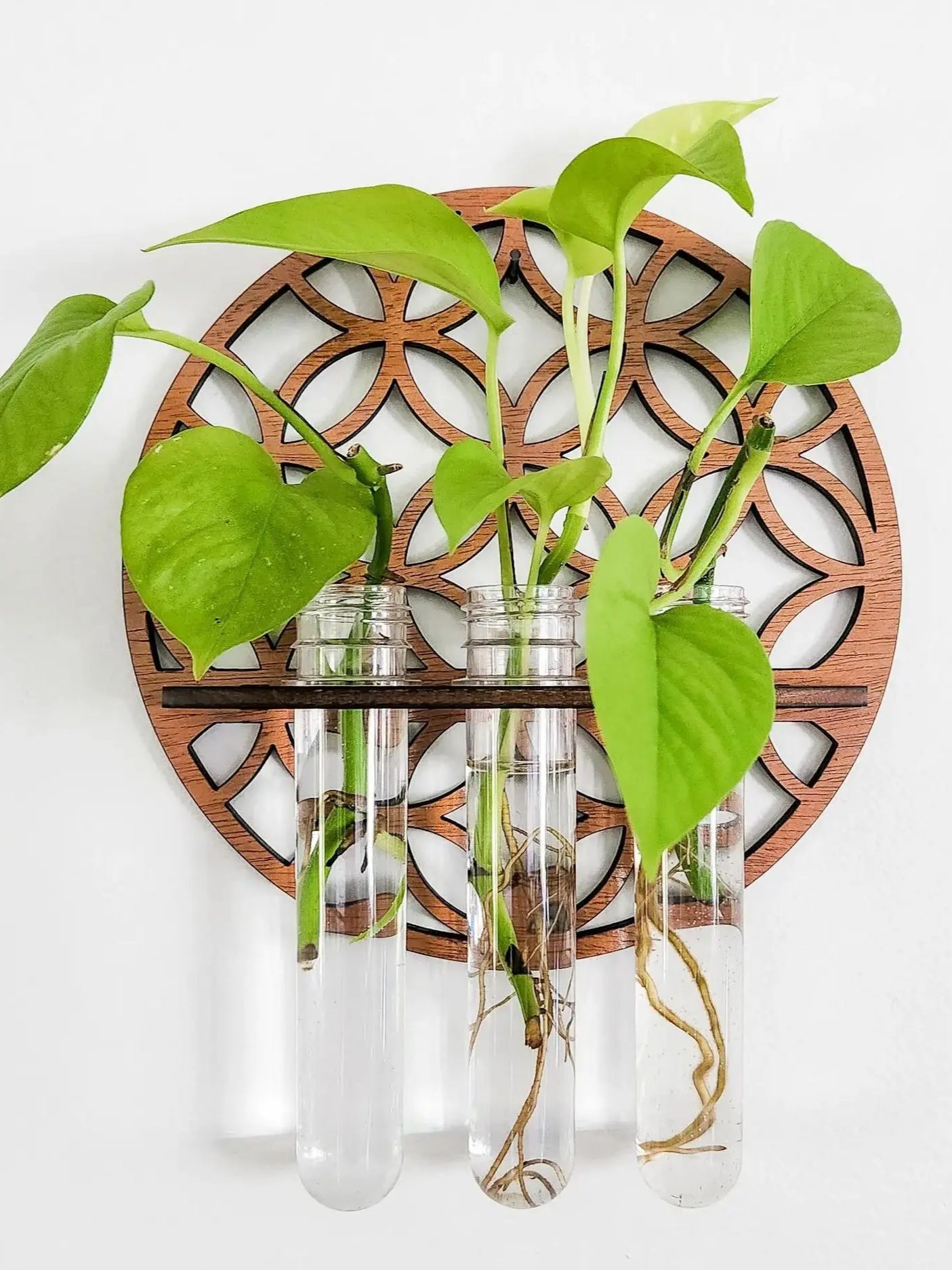 Garden Wall Planters Indoor Wo - Propagation Station Vase ulasan dan harga