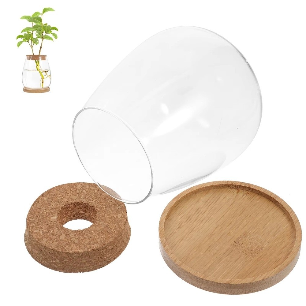 Transparent Hydroponic Flowerp - Propagation Station Vase ulasan dan harga