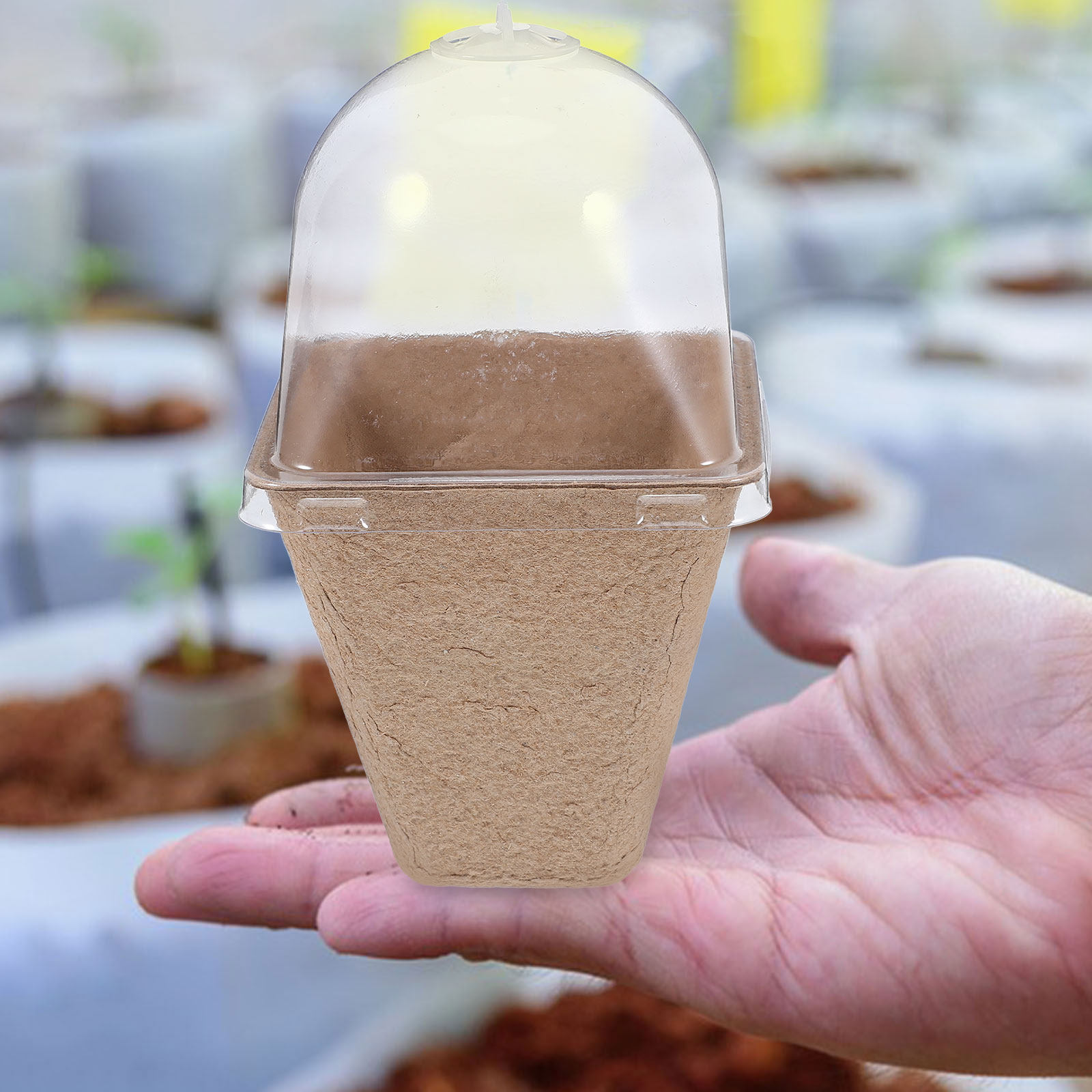 10Pcs Biodegradable Seedling S - Humidity Dome Kit ulasan dan harga