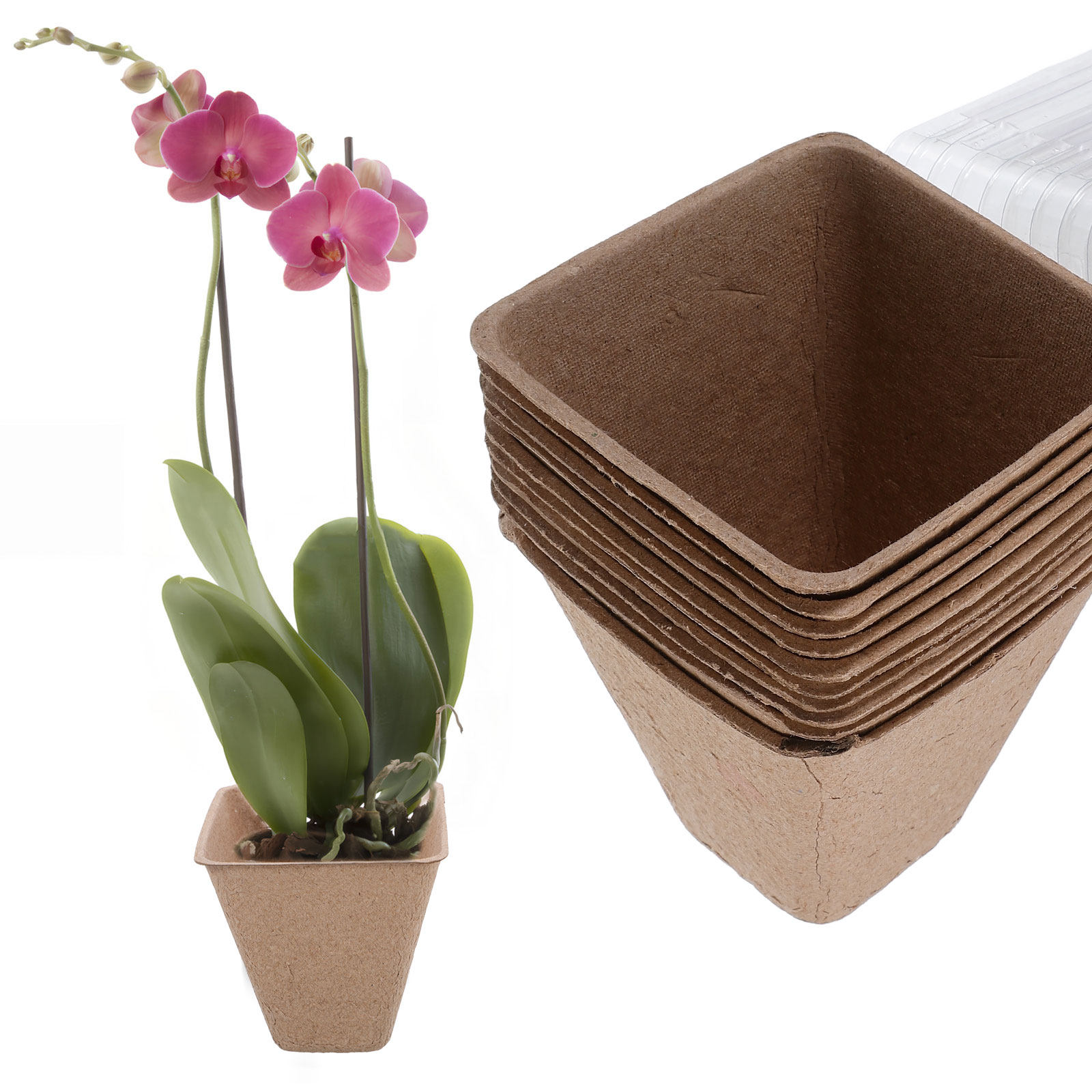10Pcs Biodegradable Seedling S - Humidity Dome Kit ulasan dan harga