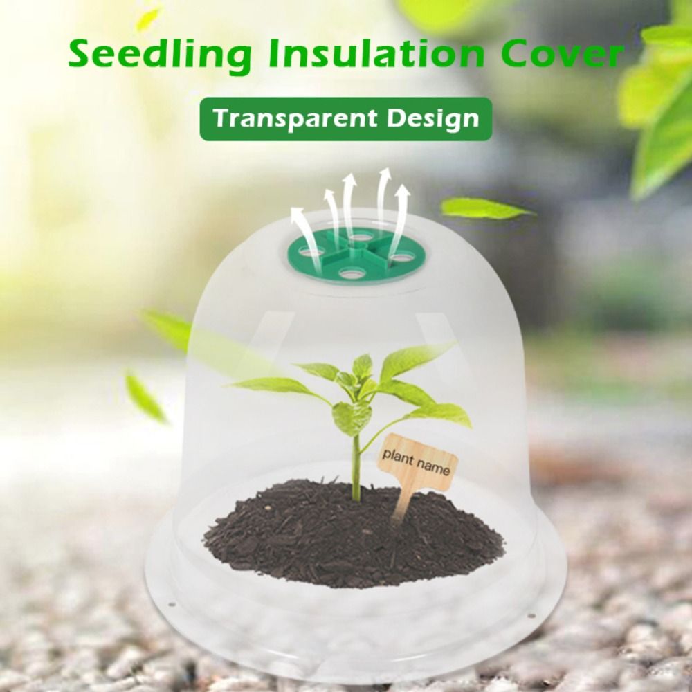 Reusable Clear Plastic Seedlin - Plastic Dome Clear ulasan dan harga