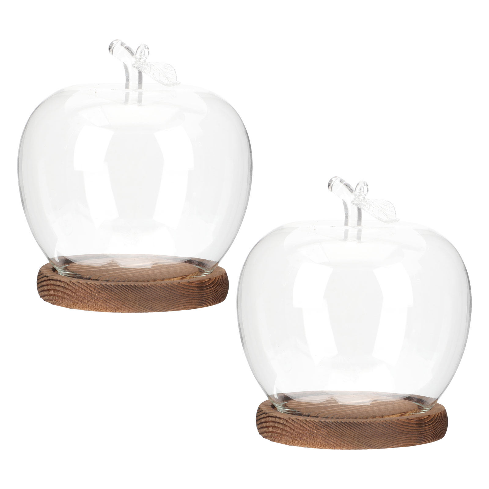 2Pcs Glass Cloche Dome with Wo - Plastic Dome Clear ulasan dan harga