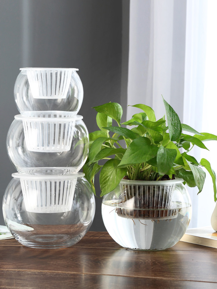 Hydroponic Glass Vase Glass Gr - Propagation Station Vase ulasan dan harga